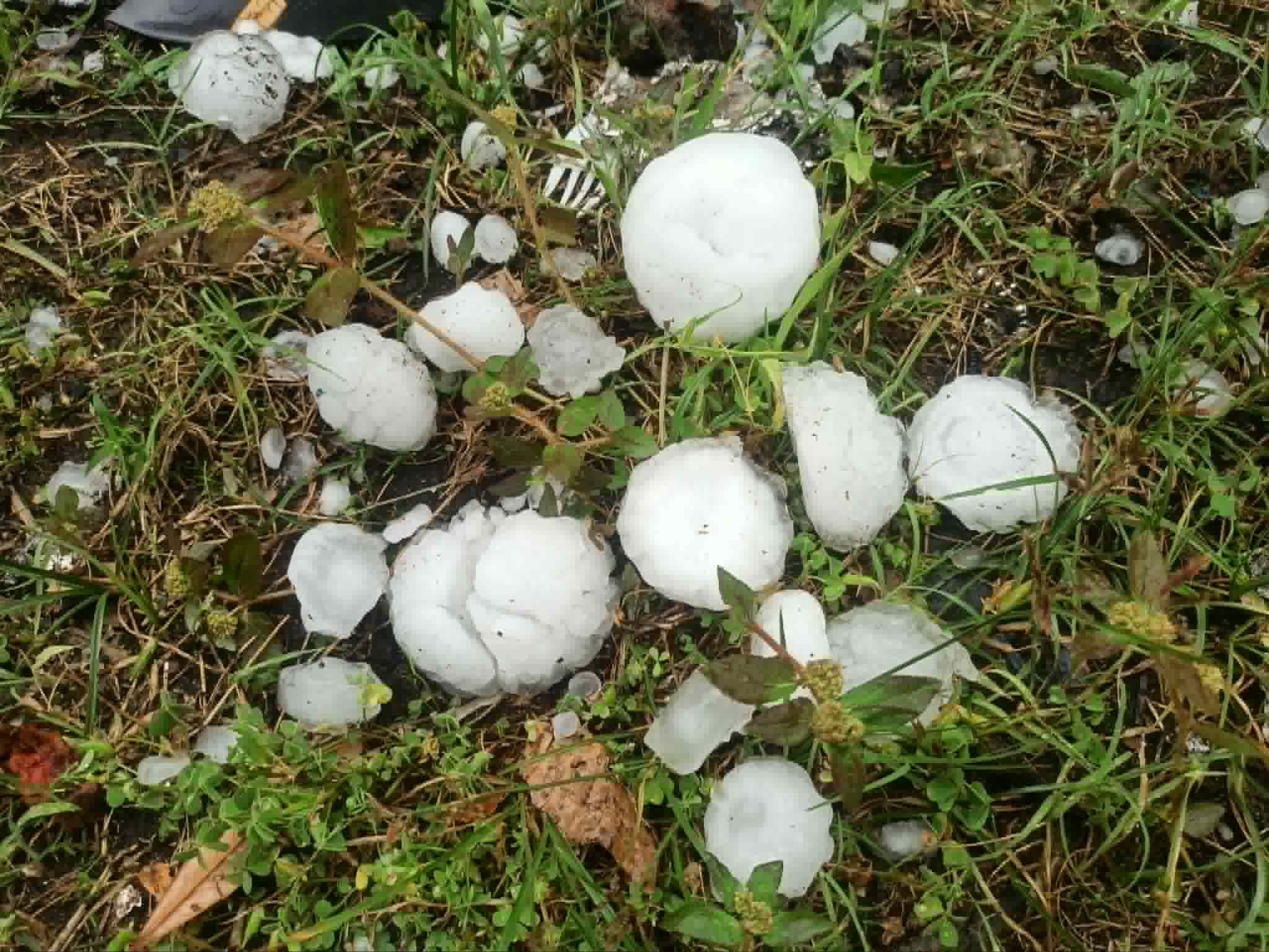 हावाहुरीले उडाएको छाना