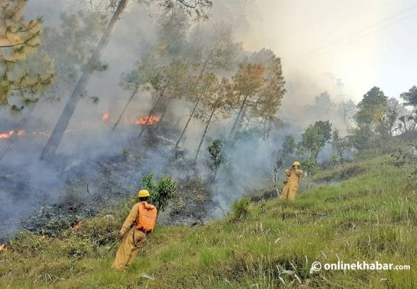 Fire-Fighters-in-Jungle-Gulmi-Dadhelo.jpg