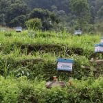 DebendraGurung_MadyaenepalLamjung_RSS_02_10000520821.jpg