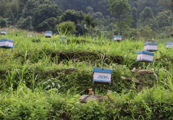 DebendraGurung_MadyaenepalLamjung_RSS_02_10000520821.jpg