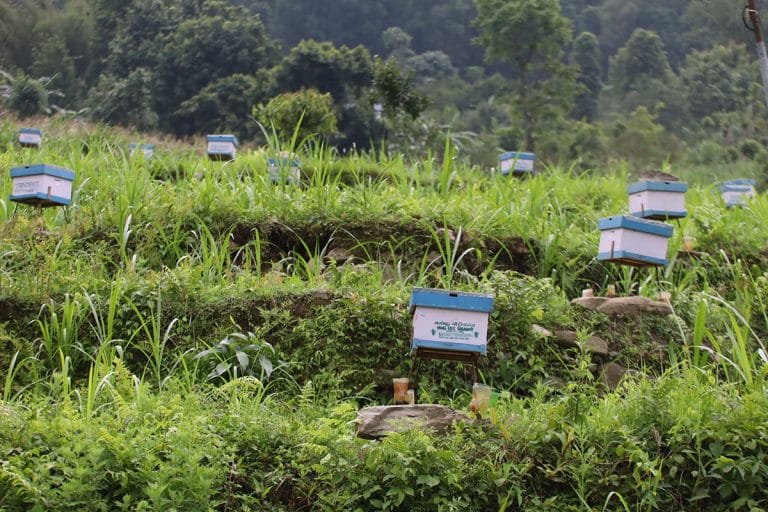 DebendraGurung_MadyaenepalLamjung_RSS_02_10000520821.jpg