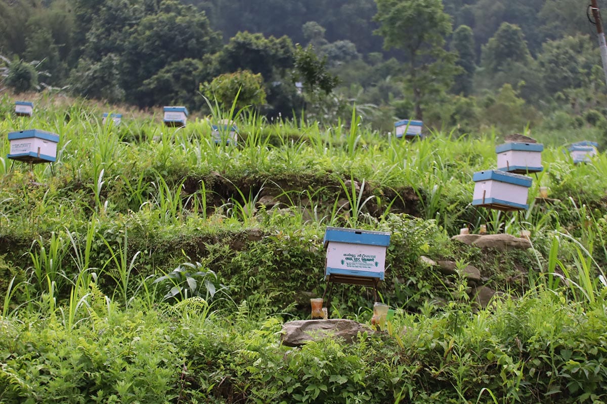 DebendraGurung_MadyaenepalLamjung_RSS_02_10000520821.jpg