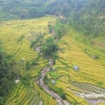 Chaite-dhan-panchthar-cover-2-1024x681.jpg