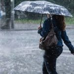 rain-098.jpg
