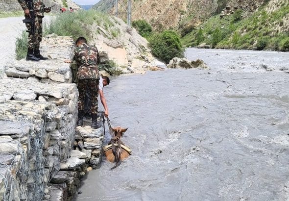 Khachad-udhar-1024x599.jpg