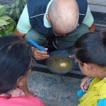 Dengu-Update-Photo-Bglung.jpg