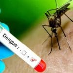 dengue.jpeg