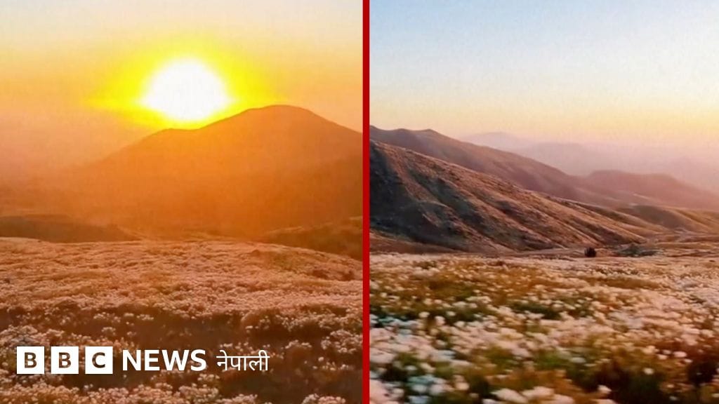 fd300c60-b8d7-11f1-b1d1-571ed4d7ff2c.jpg