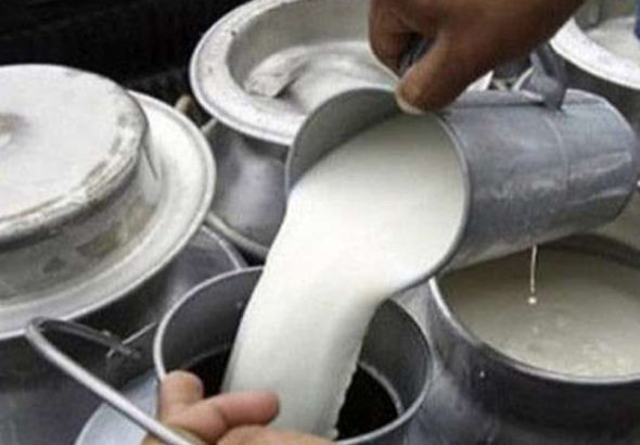 1729319806_milks-1200x560.jpg