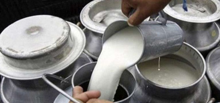 1729319806_milks-1200x560.jpg