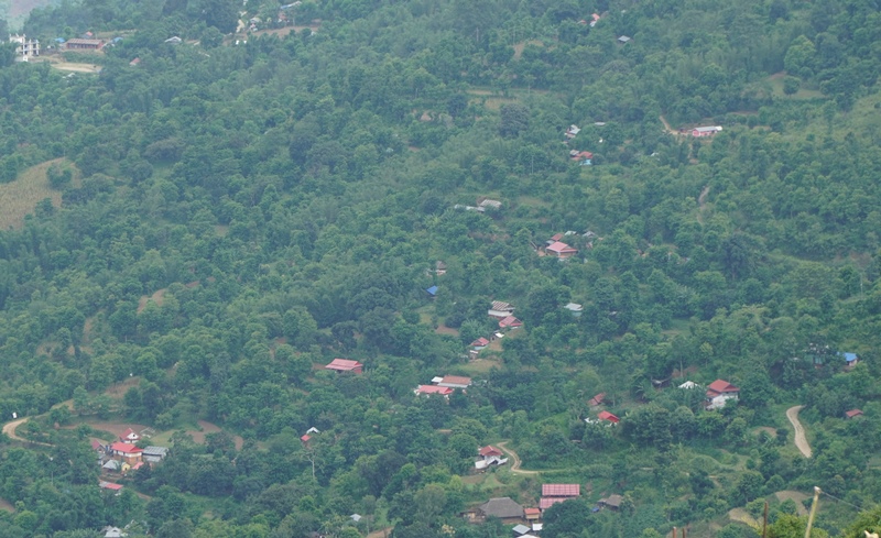 DSC08885.JPG