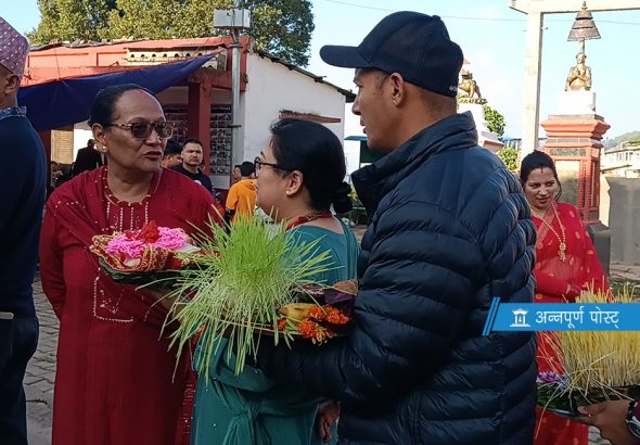Palpa_Photo_hsoWdLBwxT_BIr2GqSCX0.jpg